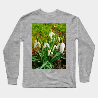 Beautiful Snowdrops In The Grass Fields Long Sleeve T-Shirt